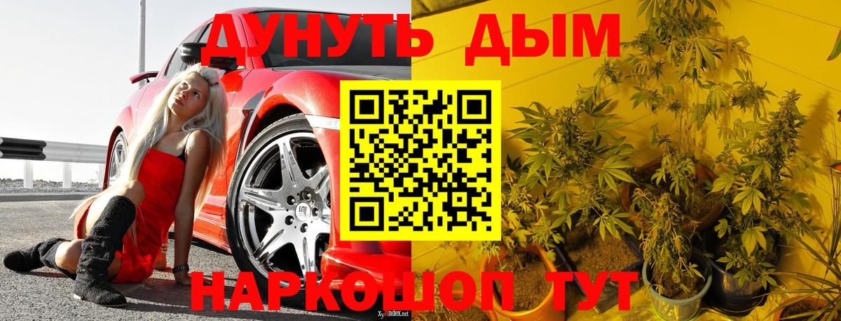 Бошки Шишки THC 21%  Марихуана Amnesia  Строитель  Вход с VPN  Бошки марихуана конопля 